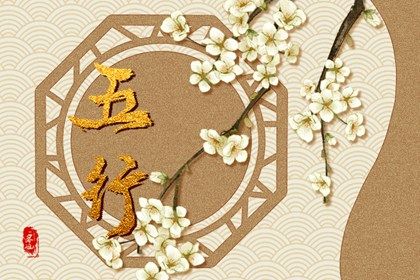 缺木的人做什么生意好 五行缺木的禁忌分析