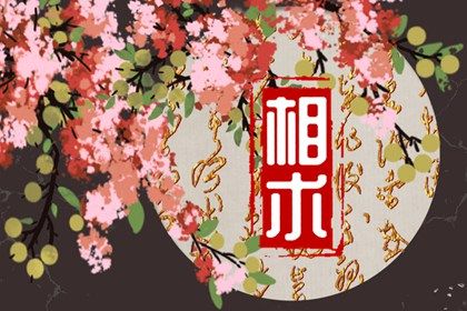 眉毛高低不一样面相 解读眉毛高低不一样的面相