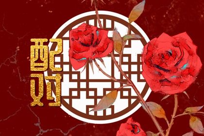 男兔女龙在一起好不好 男兔女龙婚姻相配吗