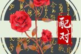 兔和龙配婚姻好不好女兔 女属兔与男属龙结婚好吗