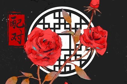 属兔和属龙的朋友好不好 属兔与属龙相结合怎么样