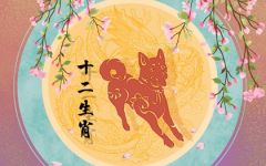今年属狗的财运和运气如何2022 运势上升了