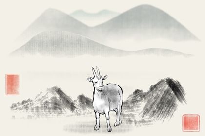 55年羊的属相是什么命 杞人忧天的木羊之命