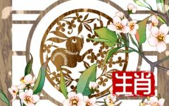 属兔跟属兔的婚姻如何 婚配好不好
