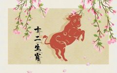 属牛和属虎女的生肖在一起好吗 性格如何