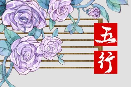 95年属什么的五行属什么 95年出生的木猪命运分析