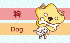 94年属什么的生肖 95年五行属什么属性