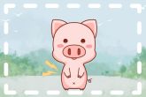 2022年属猪的合太岁 有哪些吉星会帮助属猪人