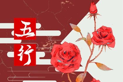 1943年五行属什么命 水羊人命运会如何