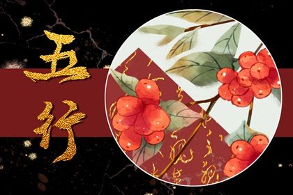 2007年五行属什么火 07年出生的属猪人命运好不好