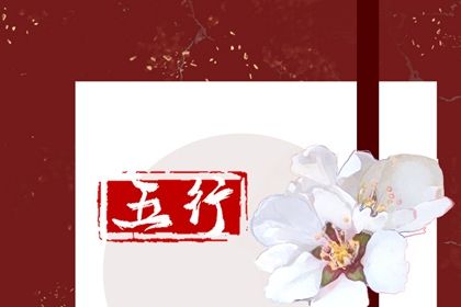 1997年五行属水还是火 属牛人的命运会怎样