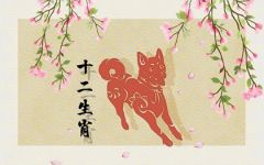 属狗的最旺吉祥方位 生肖狗住几楼最吉利