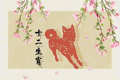 属狗的最旺吉祥方位 生肖狗住几楼最吉利