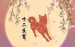 属狗2022年有多倒霉 如何转运化解