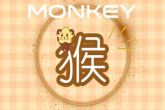 2022年生肖猴运势运程男性 工作中要加倍努力重视细节