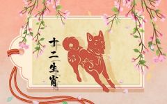 2022年属狗工作运势怎么样 要注意什么
