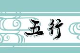 94年五行属火还是属木 94年出生的命运会怎样