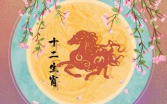 属龙男和属马女婚姻相配吗 配合默契的一对