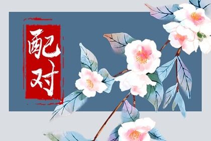 适合天蝎座的星座配对 天蝎座最佳配对排行