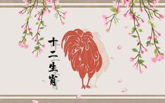 属鸡人永远最旺的颜色 黑色带旺事业