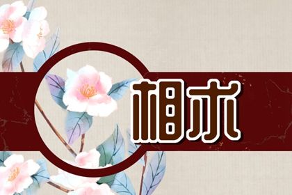 二婚会幸福的女人面相 下巴丰满 高额头