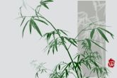 适合属猴人长期佩戴的吉祥物 凝聚财气且逢凶化吉