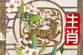 属鸡在虎年运势2022年运势 身边没什么小人