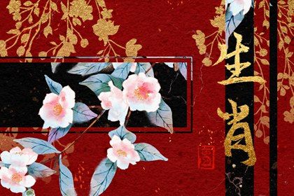 2022年命运最好的生肖 属猪有朵朵盛开的桃花