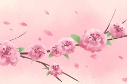 天鸾星算命解析 红鸾天喜入命的含义