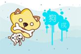 生肖狗2022年的全年运势 有被动物咬伤的风险