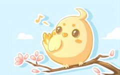 鸟屎掉身上是福是祸 衣服上落了鸟粪有啥预示