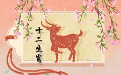 属羊人农历几日出生好  几月出生命运最好