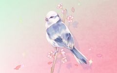 鸟拉屎在头上鸿运当头 意味着好事将近