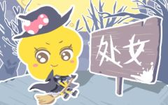 处女座和狮子座合适吗 在一起要注意什么