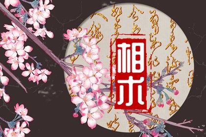 凤眼纹和佛眼纹图片 两者的意义