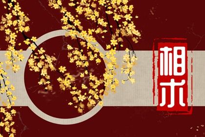女人巨富面相 耳朵厚大 下巴丰满