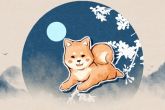 明年可以翻身的生肖 生肖狗 生肖牛