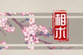 连心眉怎么化解 连心眉面相究竟好不好