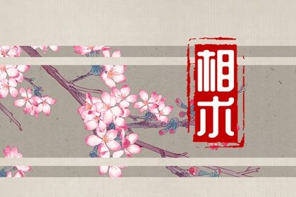连心眉怎么化解 连心眉面相究竟好不好
