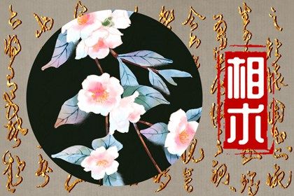 耳朵一高一低面相怎么化解 了解耳朵位置的意义