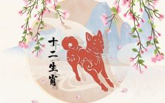属狗女最怕出生几月 祖业浅薄失意常常
