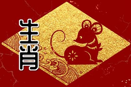 1996属鼠男命 为人伶俐聪明精通文武