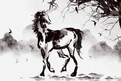 属马的多大年龄 属马人最旺的年龄分析