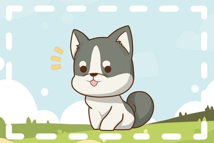 生肖属狗的运气2022 发展趋势喜人