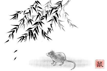 1984的男鼠一生婚姻状况 属鼠人如何增强婚姻运势