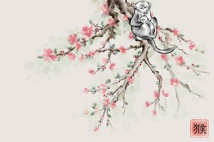 属猴女性格特点及脾气 属猴女人的性格优缺点分析