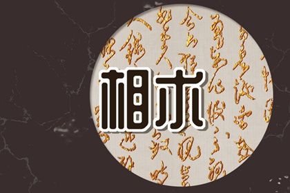 额头有凹陷的小坑 聪明智能都很高