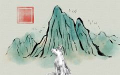 1982年属狗人40岁到49岁运程 事业迎来巅峰