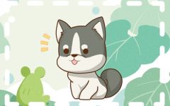 生肖狗适合佩戴什么饰品 旺财运的吉祥物