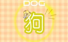 1982年属狗过了40岁财运如何 生活富贵昌顺